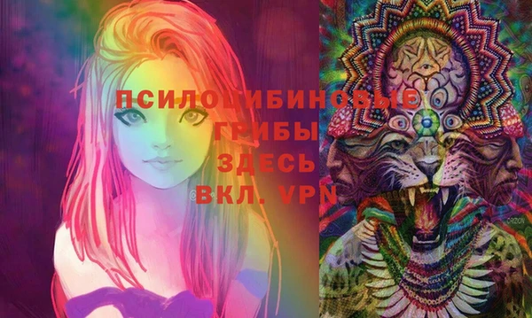 метадон Козловка